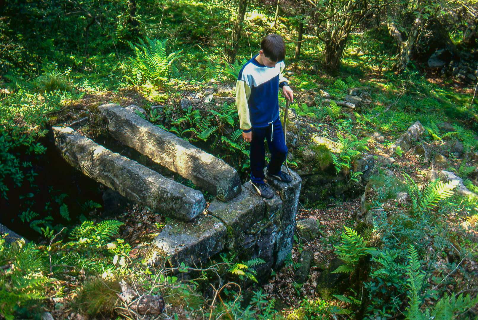 Site of Froggatt Smelter June 1989, submitted by Dickie Bird on 20-03-2026.
© Richard Bird Site of Froggatt Smelter June 1989